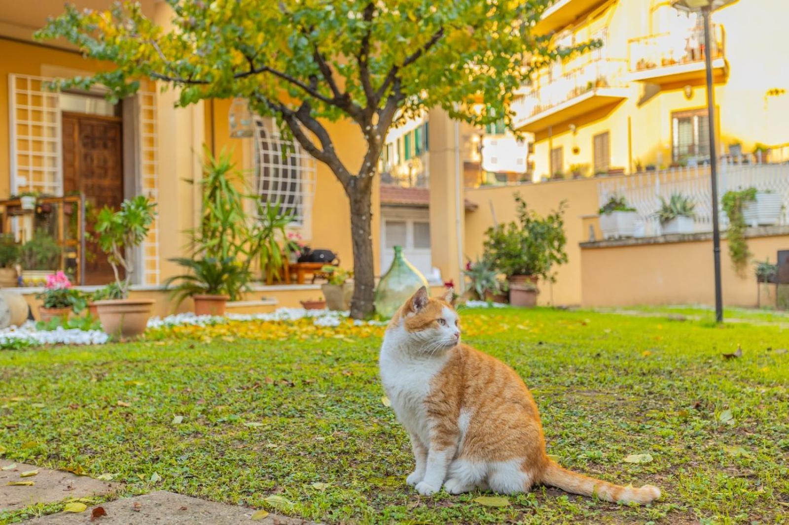 Villa Gatta Рим Экстерьер фото